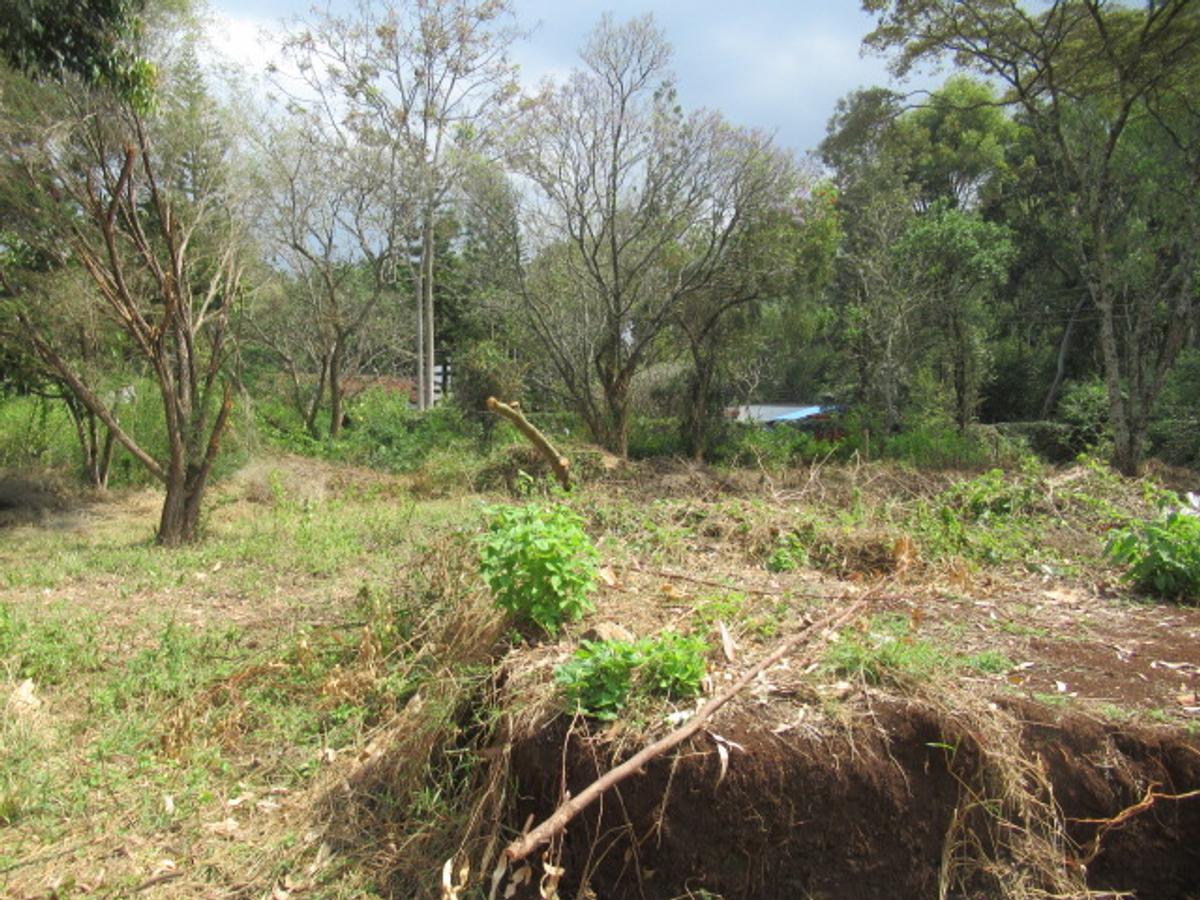 Residential Land at Masai West Rd - 2