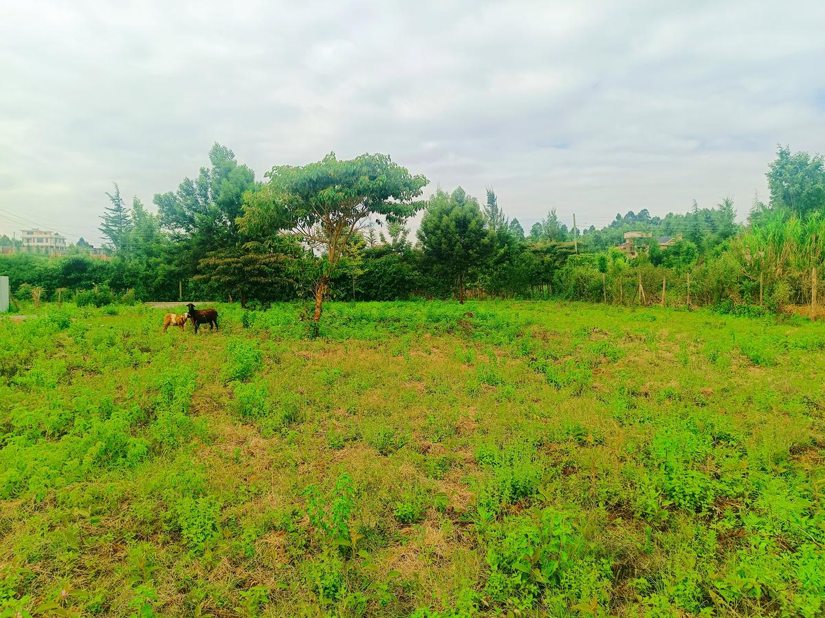 500 m² Residential Land at Jambu Tv Neighborhood - 7