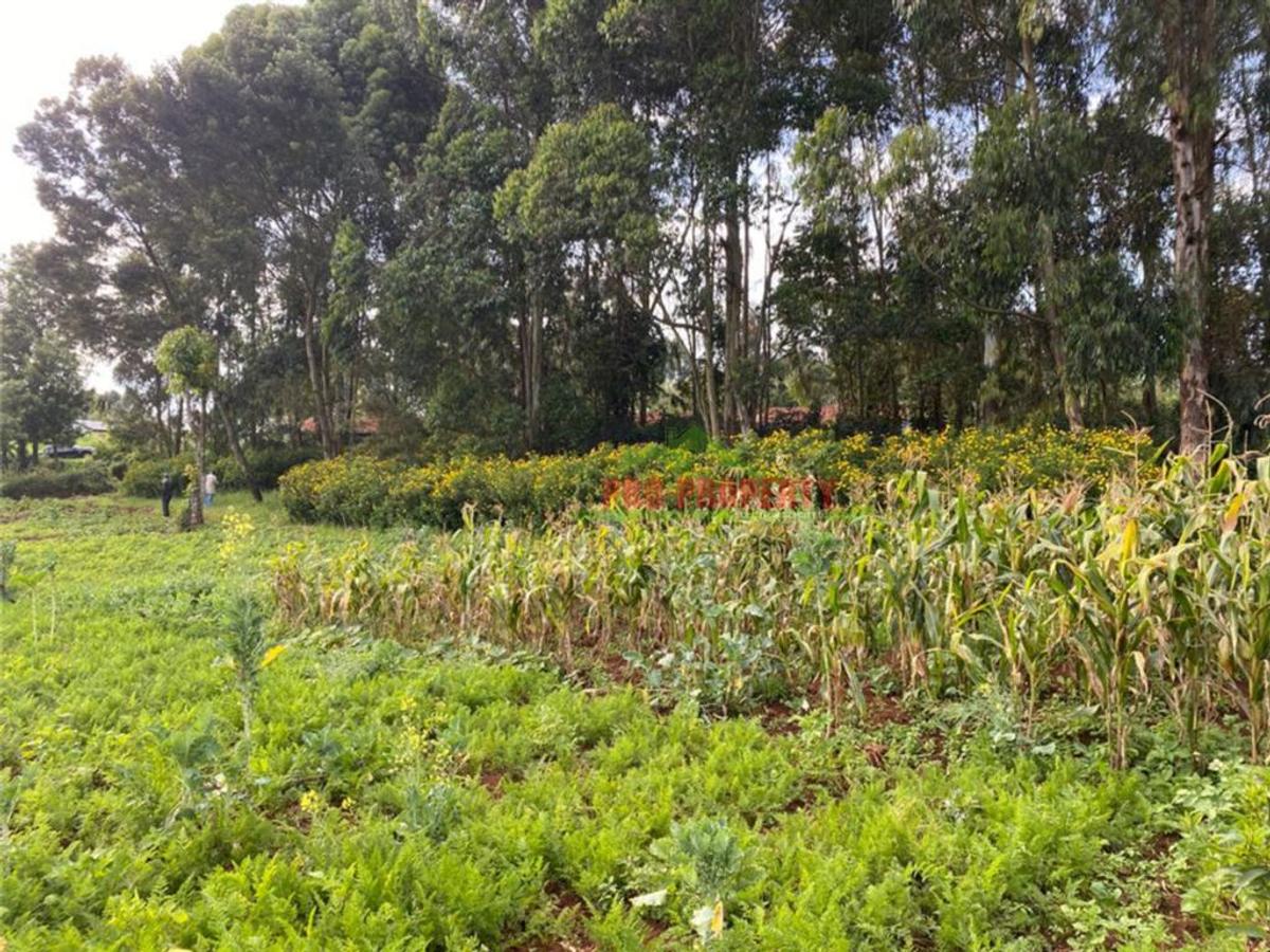 4,000 m² Land in Limuru - 12