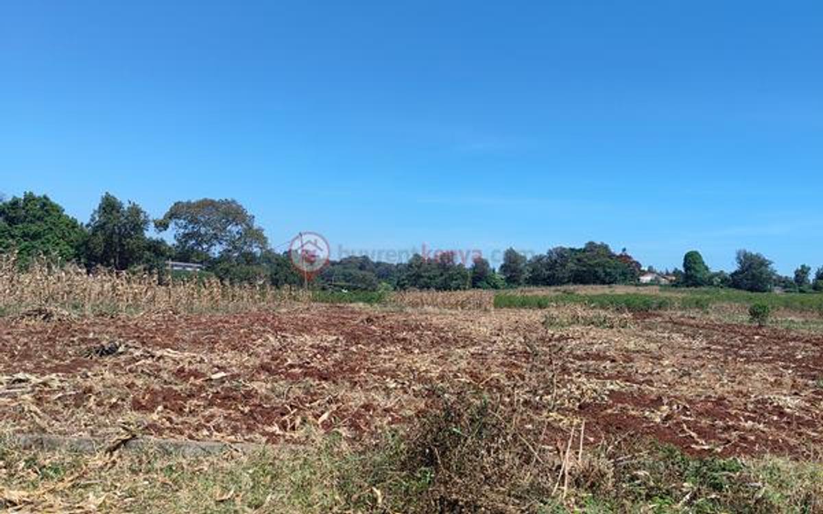 Land at Kirwa - 12