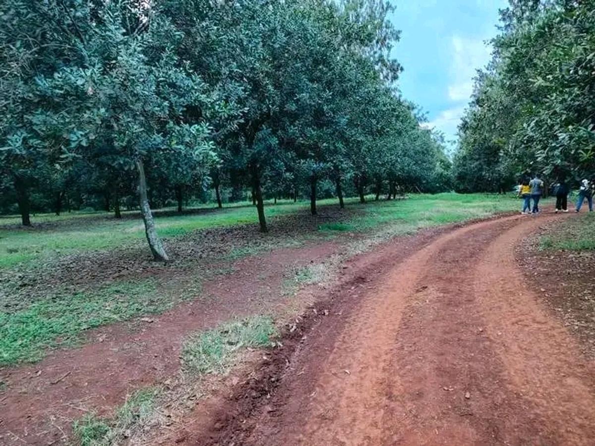 50 ft² Residential Land at Juja - 10