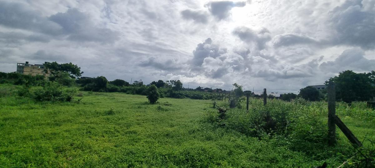 2.5 ac Land at Kikambala - 10