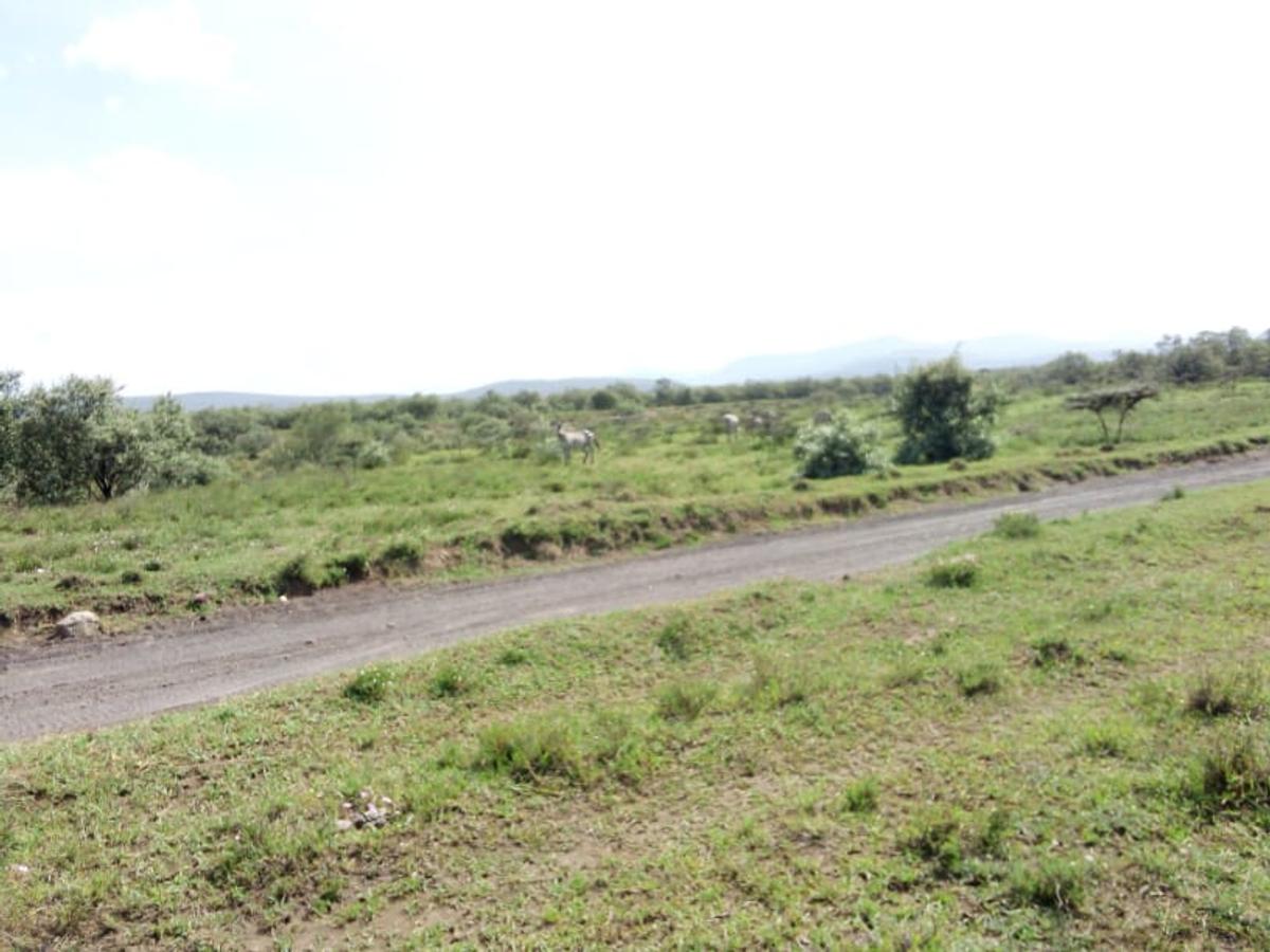 Land in Naivasha - 1