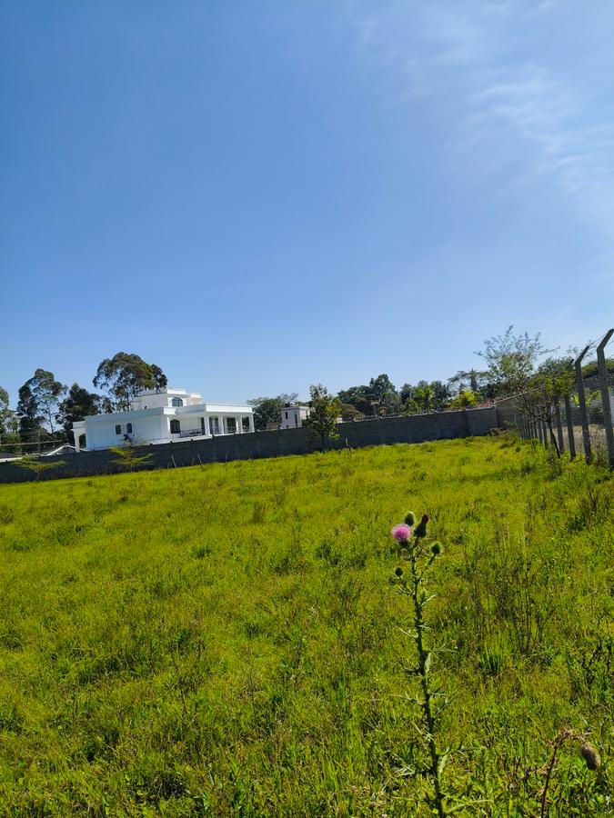 Residential Land at Marula Road - 16