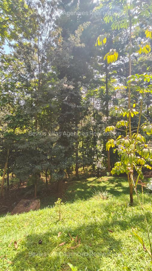 Residential Land at Kyuna - 3