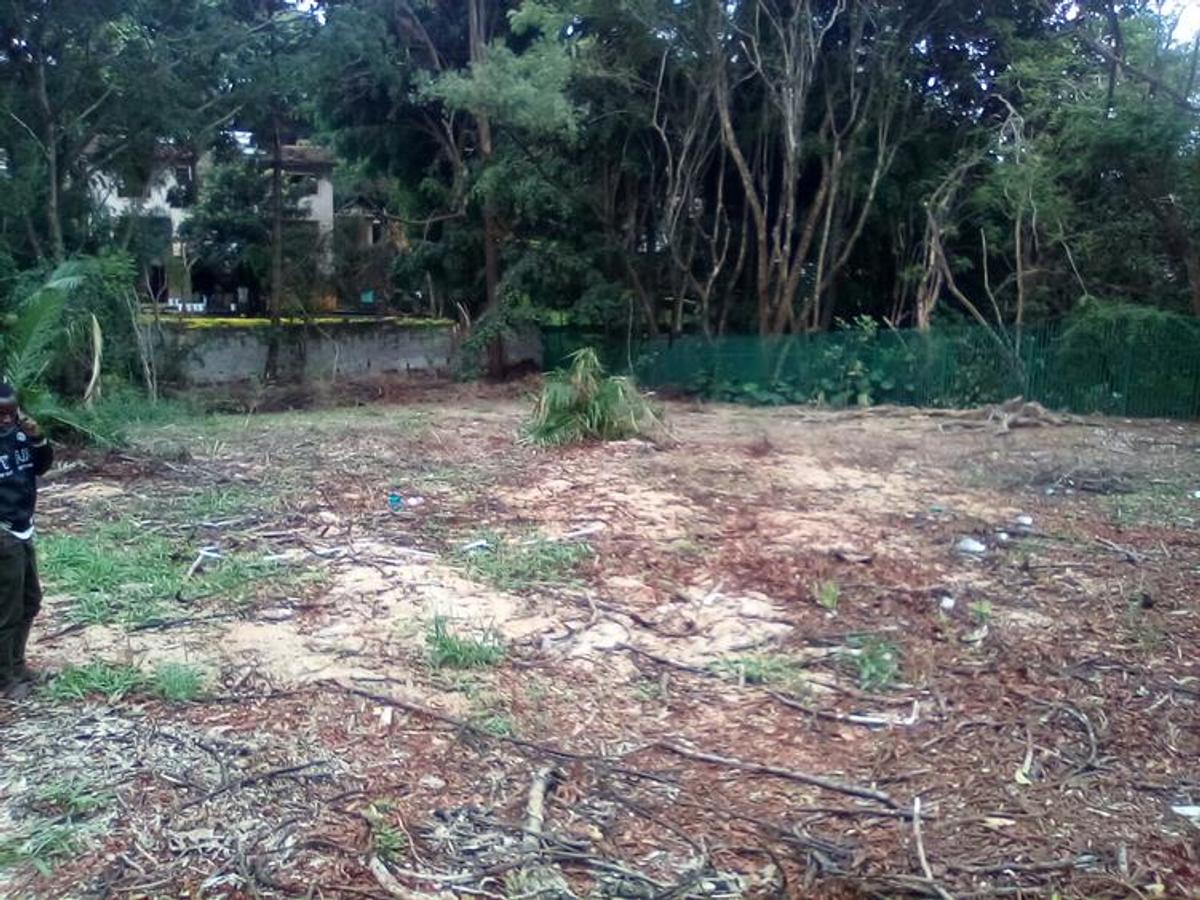 0.781 ac Land at Convent Road - 15