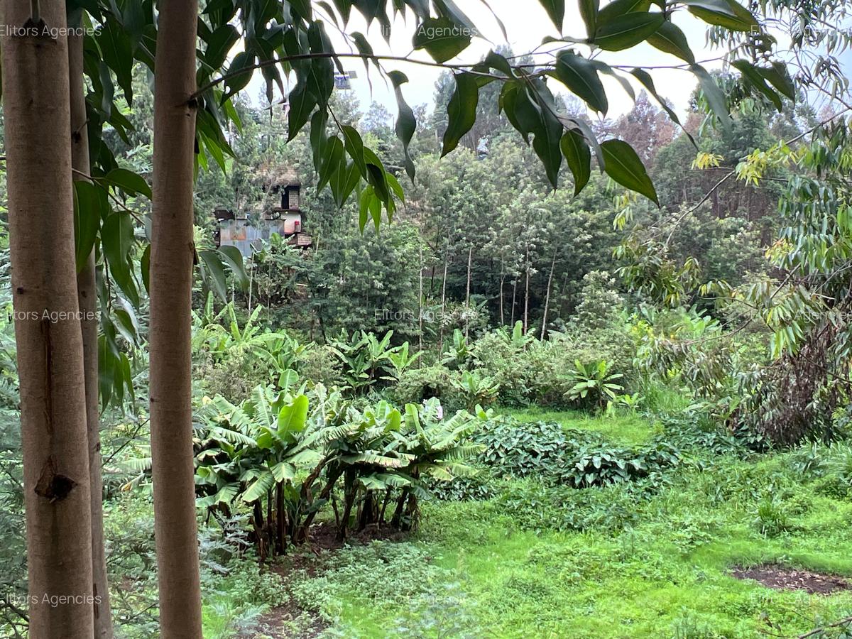 0.42 ac Residential Land at Kirawa Road - 4