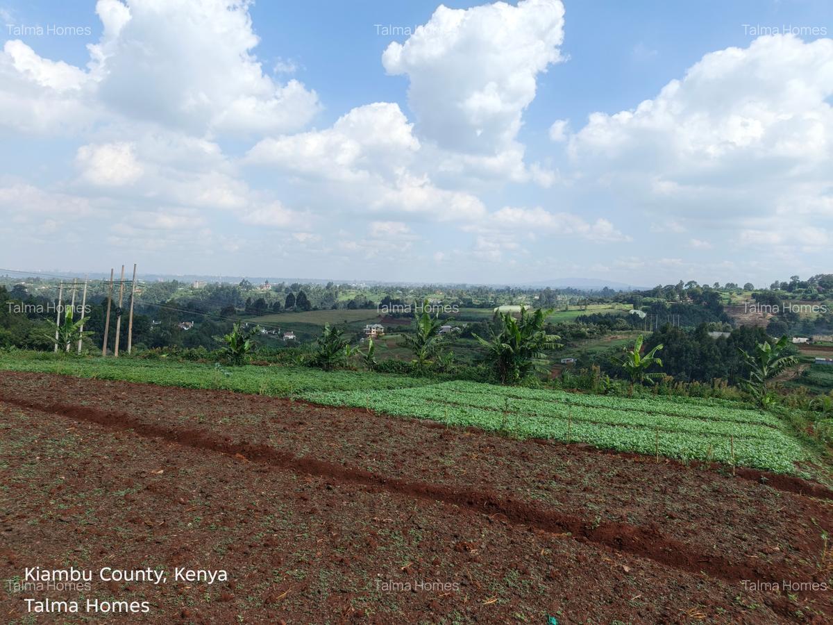 Land at Tigoni - 6