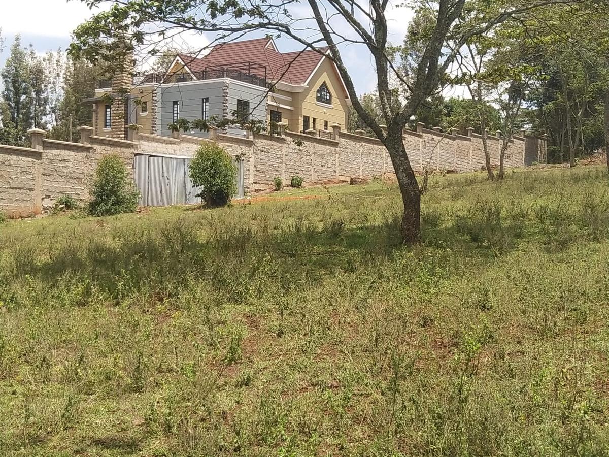 0.25 ac Land in Ngong - 4