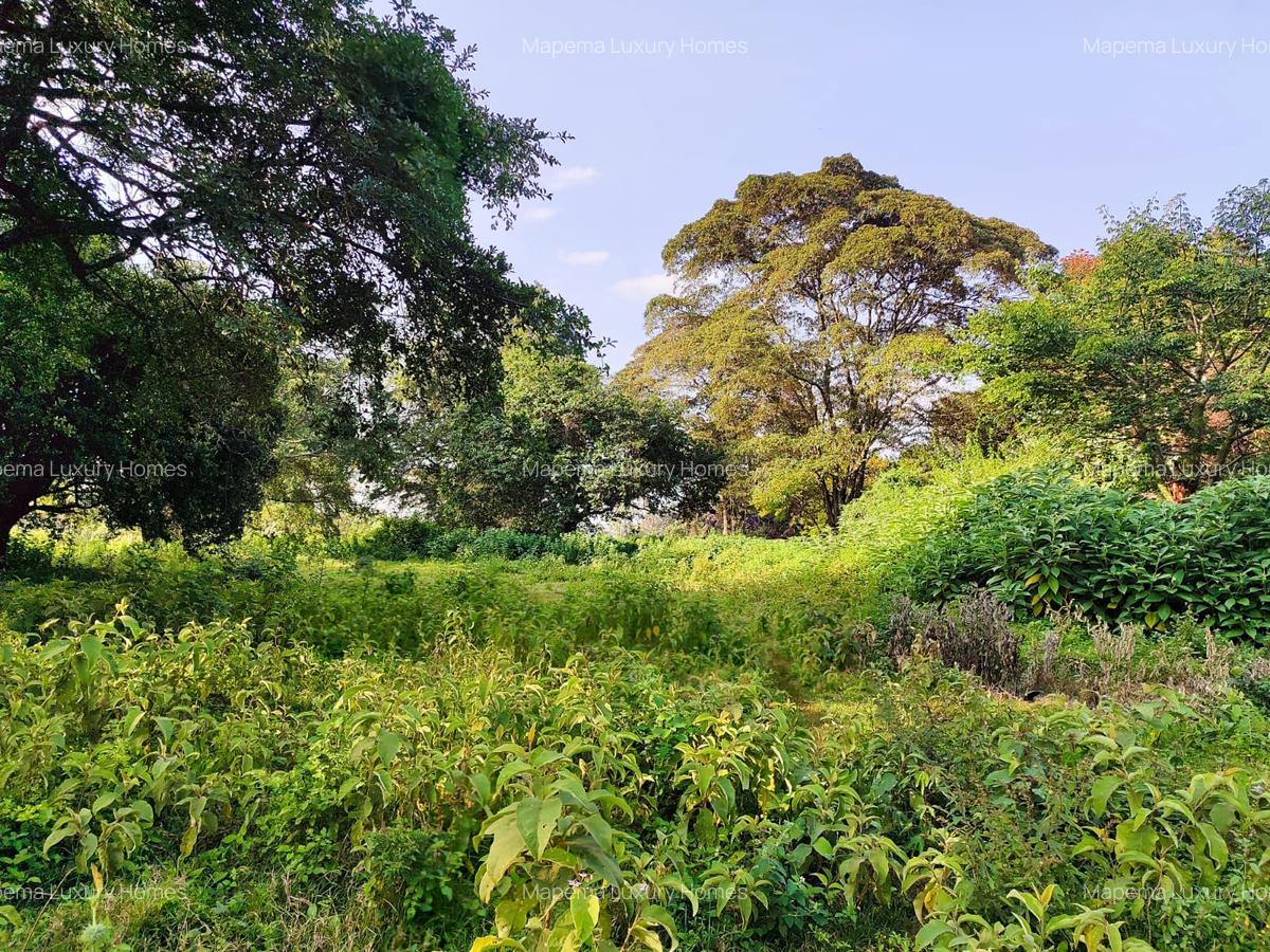 Residential Land at Karen - 5