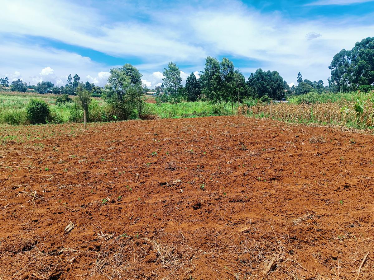 1,000 m² Residential Land at Kwa-Ngando - 7