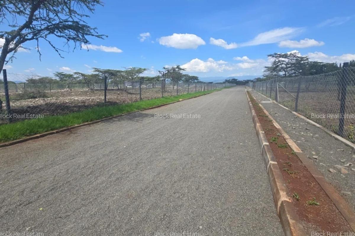 0.25 ac Residential Land in Nanyuki - 5