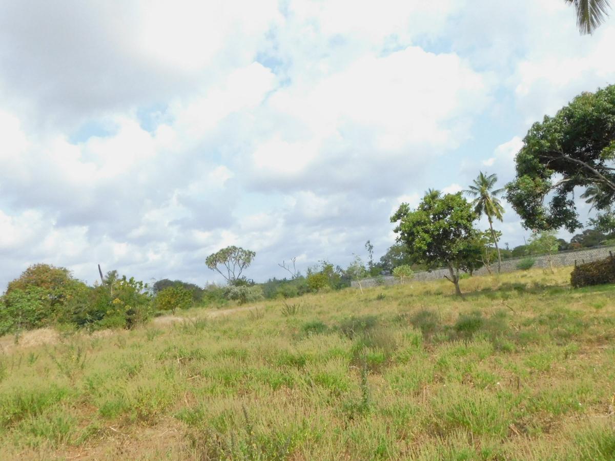 6 ac Land at Mtwapa - 1