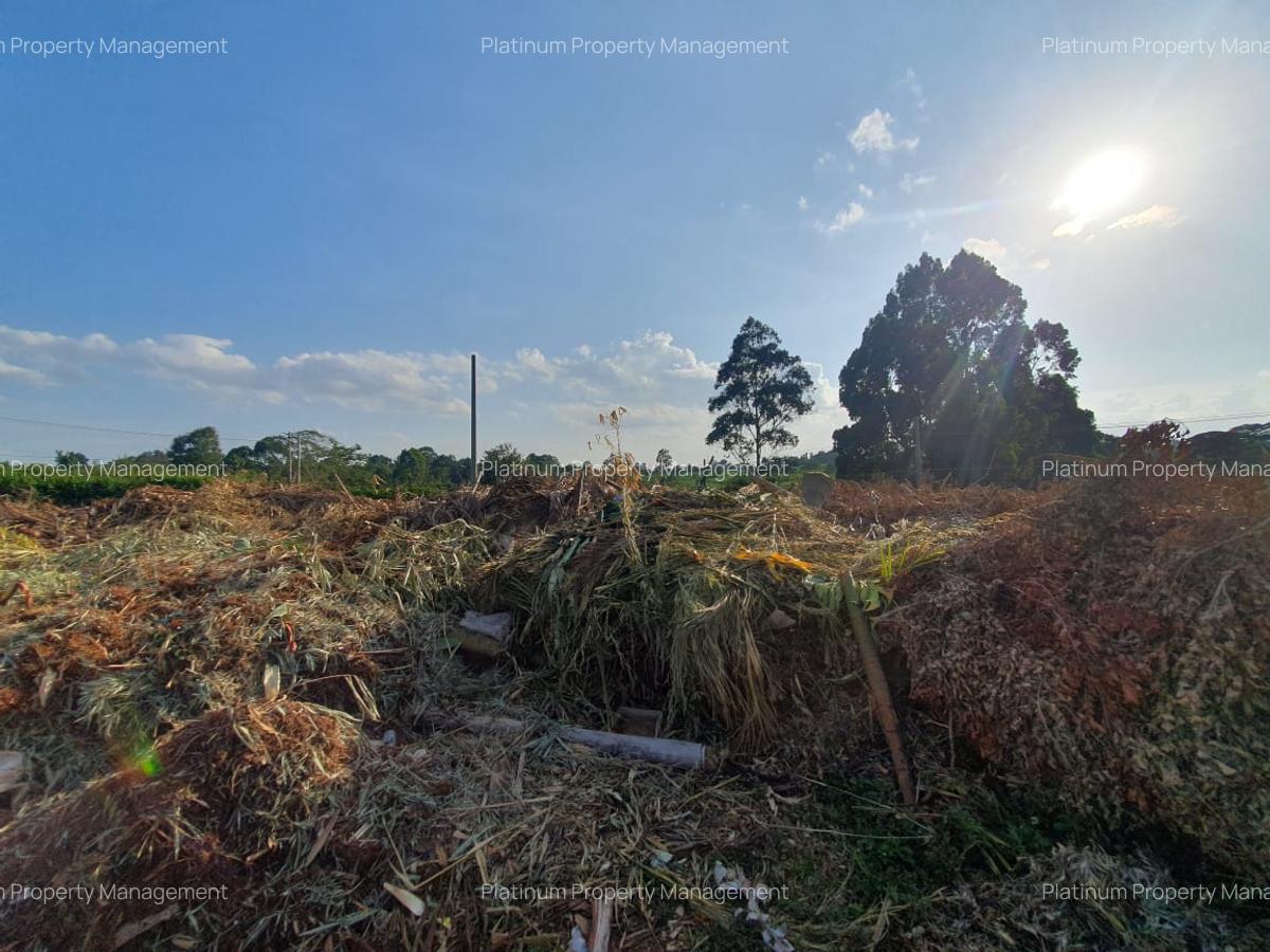 1.25 ac Land in Nyari - 3