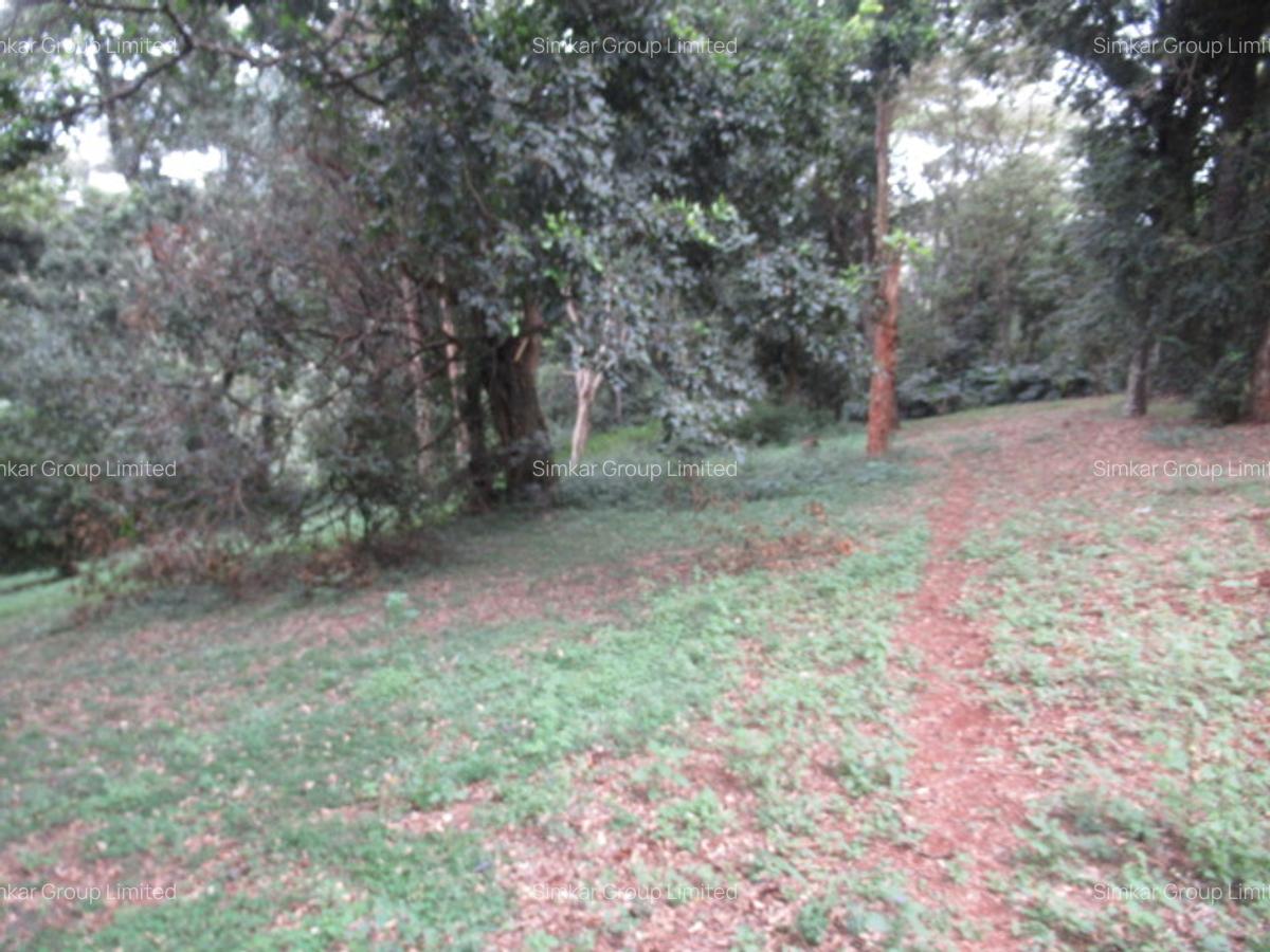 4 ac Land at Mushroom Gardens - 5