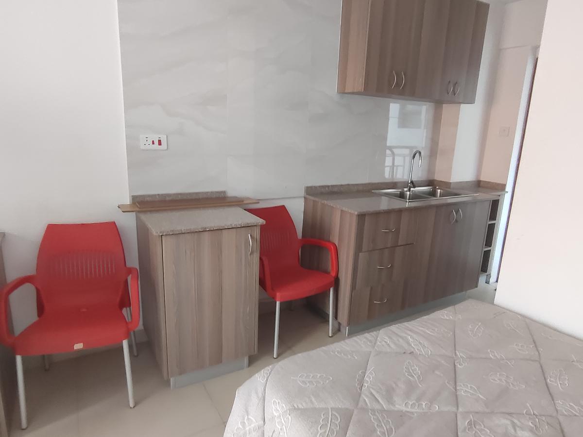 Studio Apartment with En Suite in Nairobi West - 4