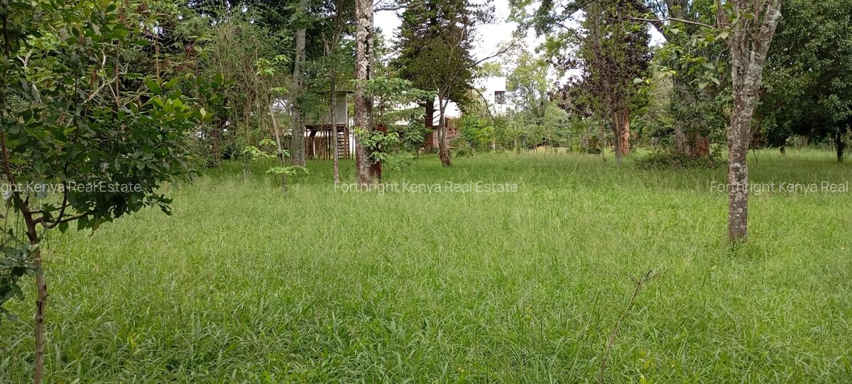 0.5 ac Land at Hardy - 2