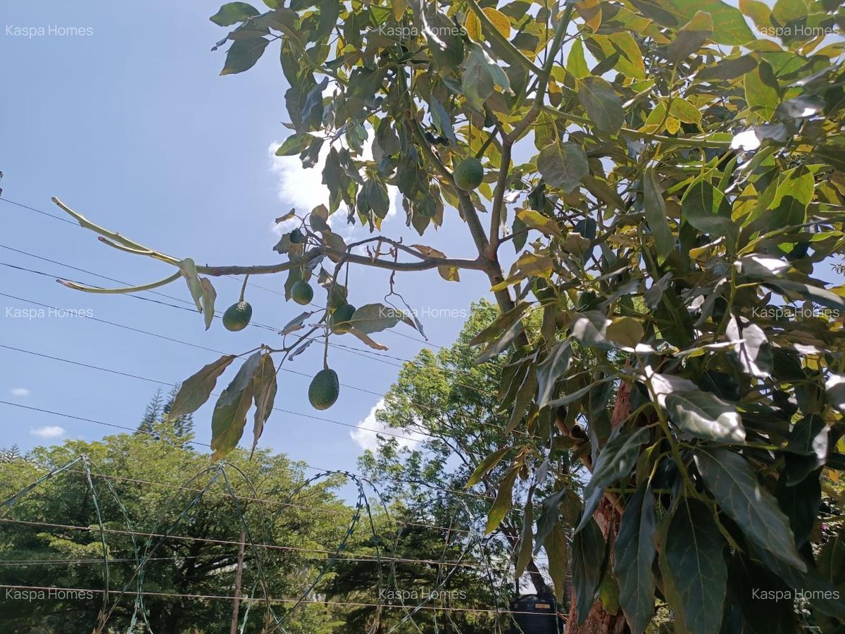 5 Bed House with En Suite in Karen - 5