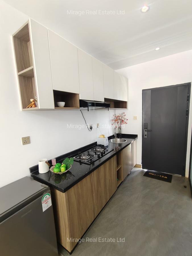 Studio Apartment with Swimming Pool in Lower Kabete - 3