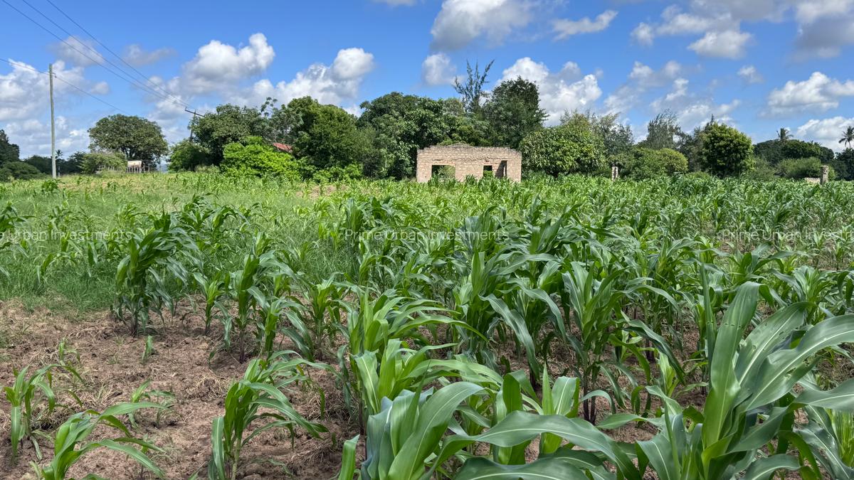 505 m² Land at Mavueni - 10
