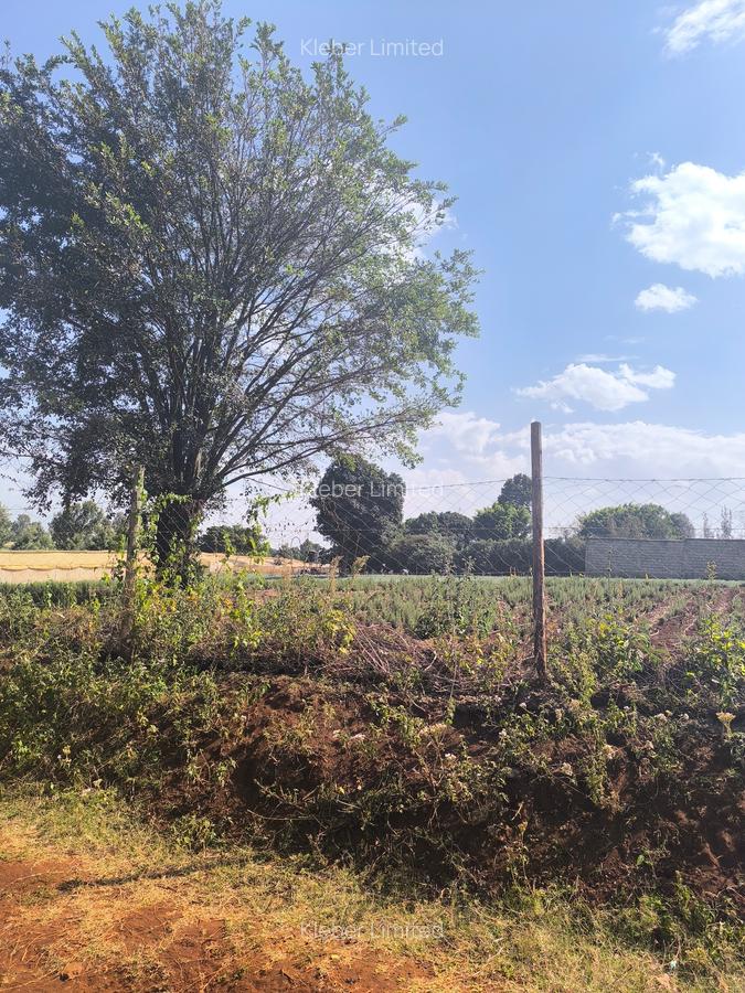 Land at Muhuri Road - 4