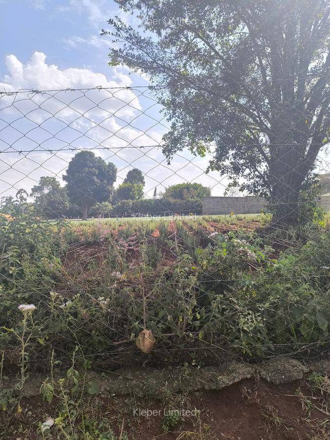 Land at Muhuri Road - 13