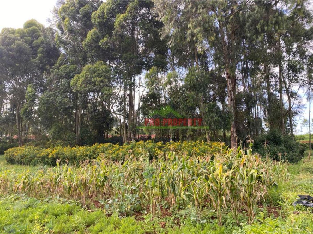 4,000 m² Land in Limuru - 10