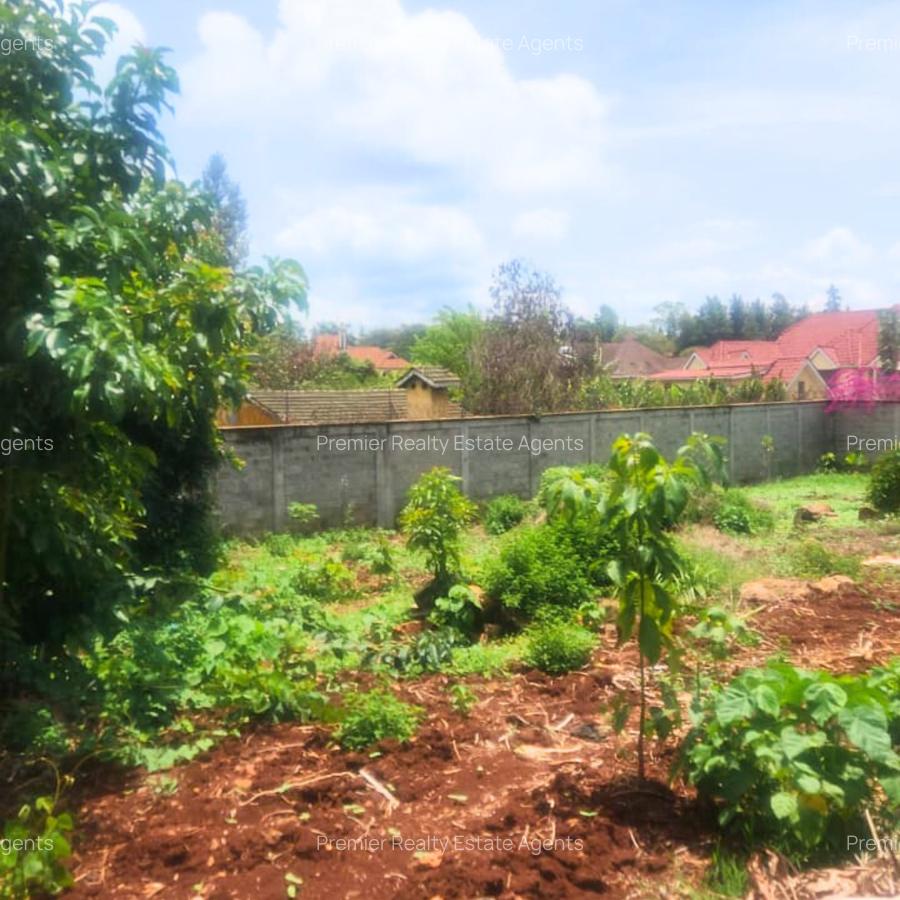 0.5 ac Residential Land at Runda - 12