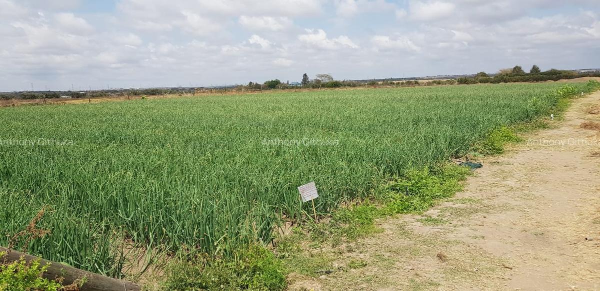 10 ac Land in Isinya - 4