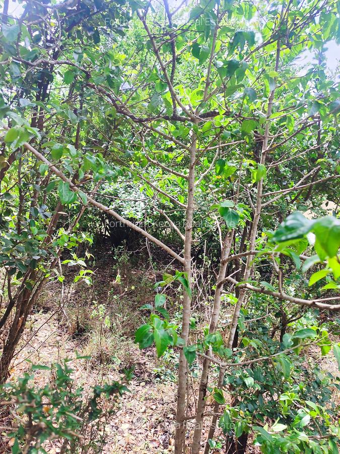 Residential Land at Hardy - 7