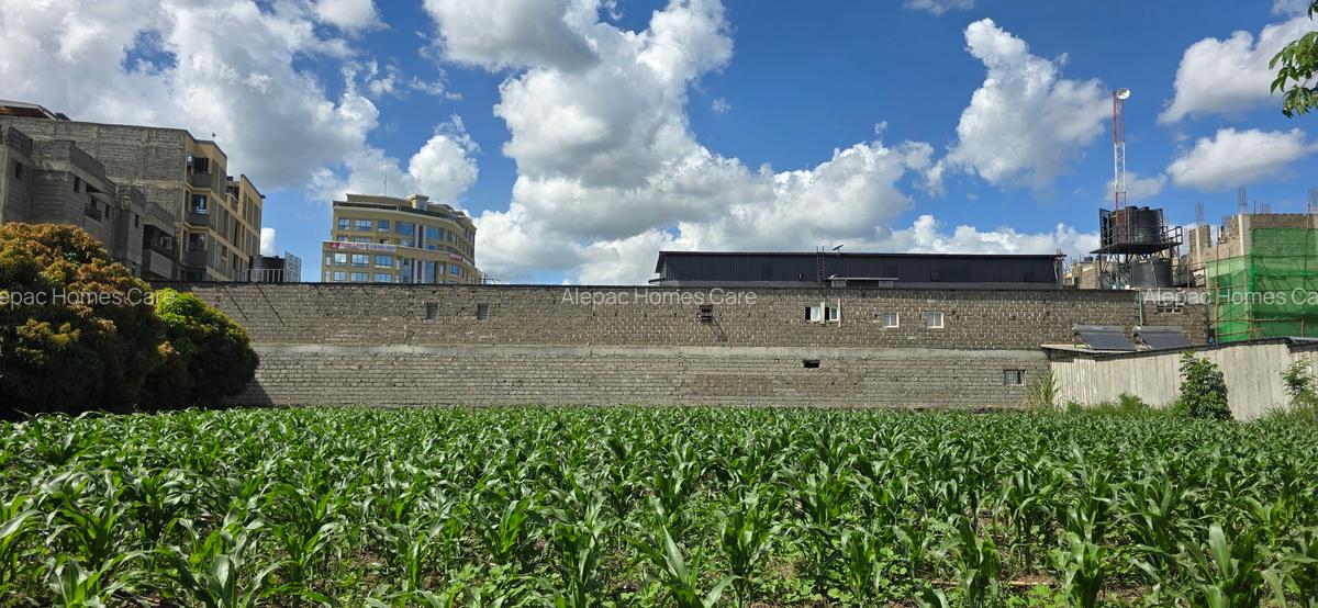 0.5 ac Land at Ruiru - 4