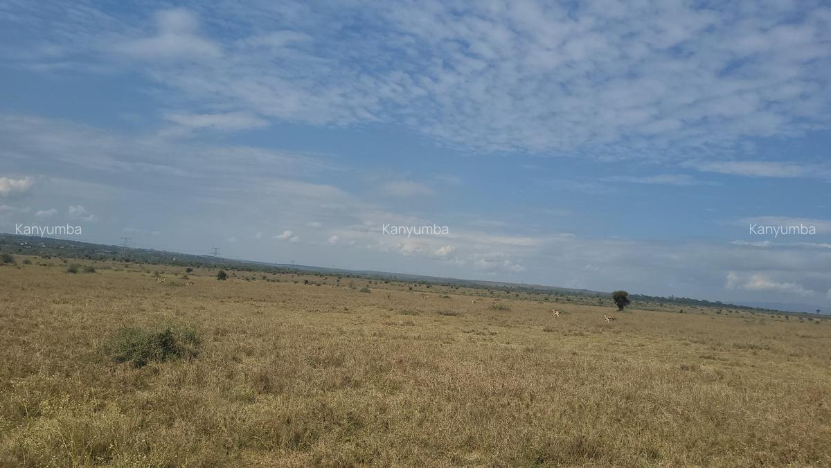 100 ac Land at Athiriver - Epz - 6