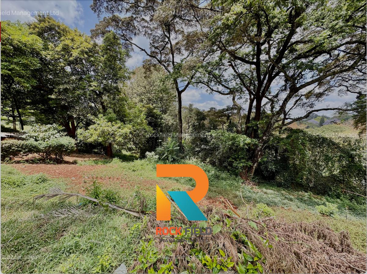 4.08 ac Land at Farasi Lane - 1