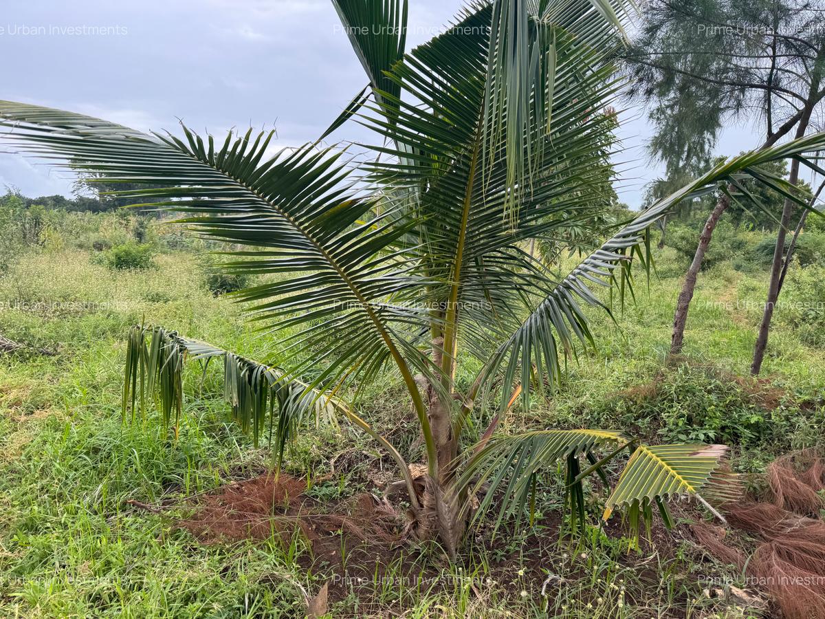 3.8 ac Land in Vipingo - 4