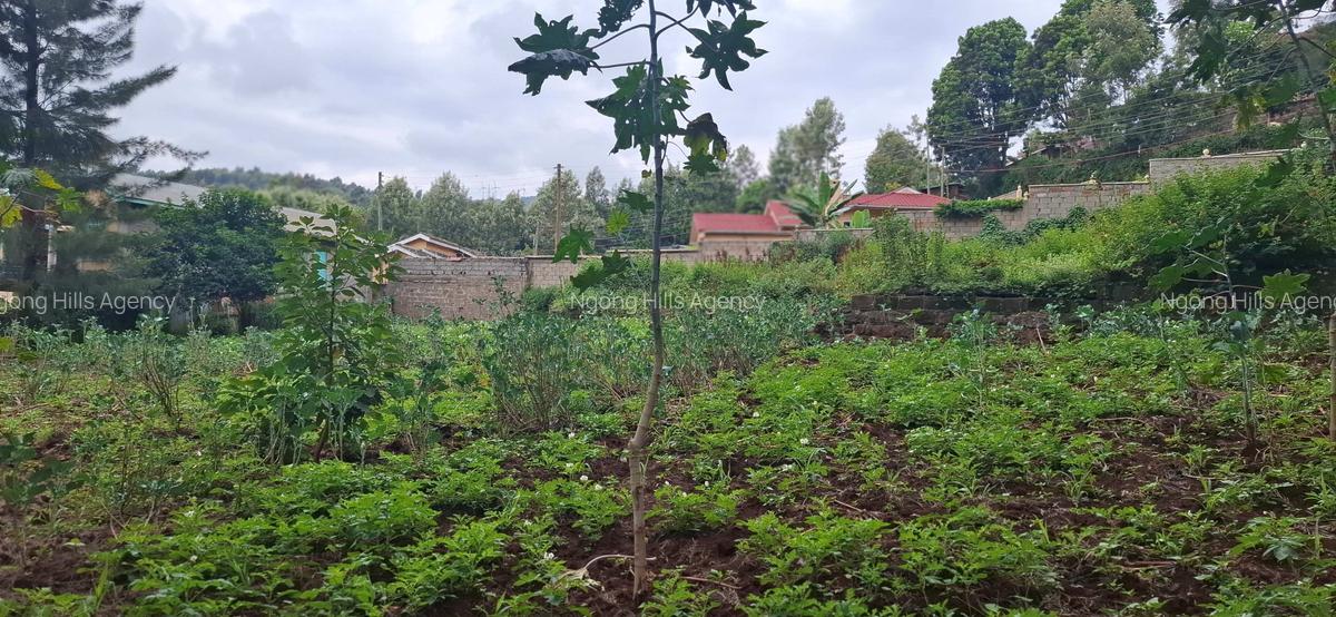 Commercial Land in Ngong - 1