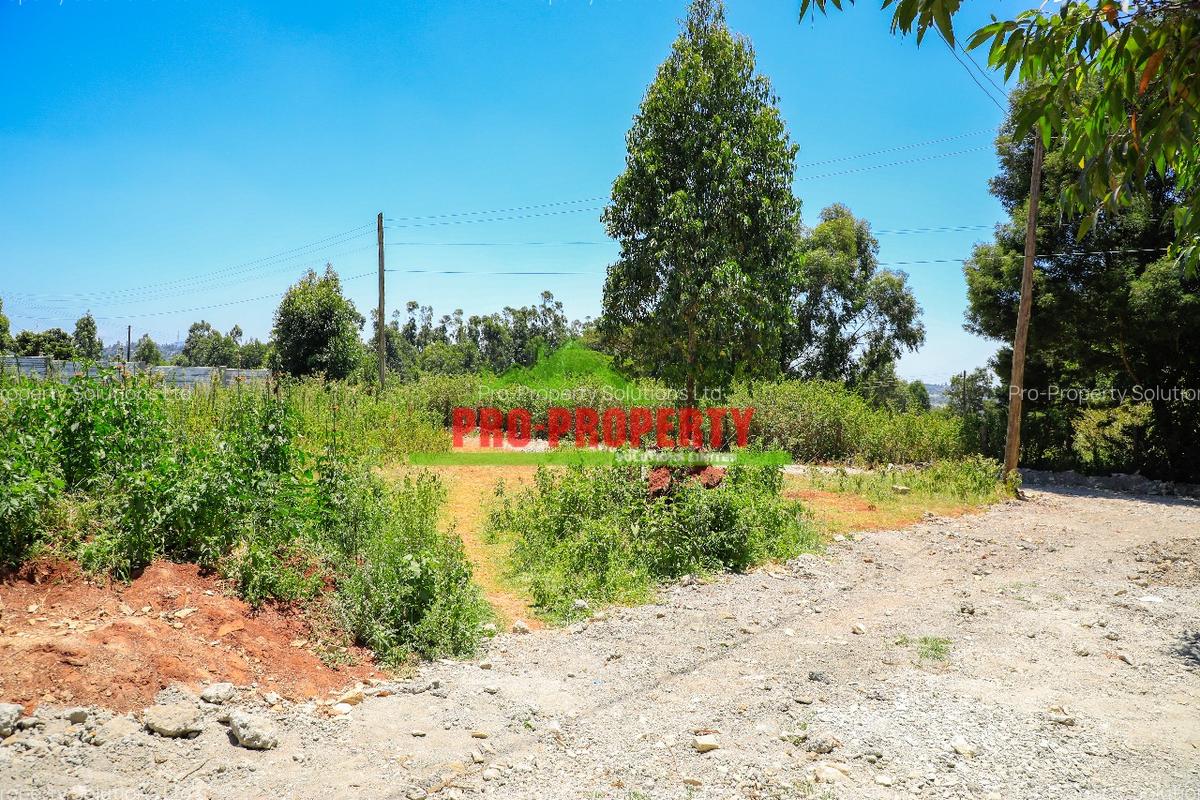 0.06 ha Residential Land at Ondiri - 8