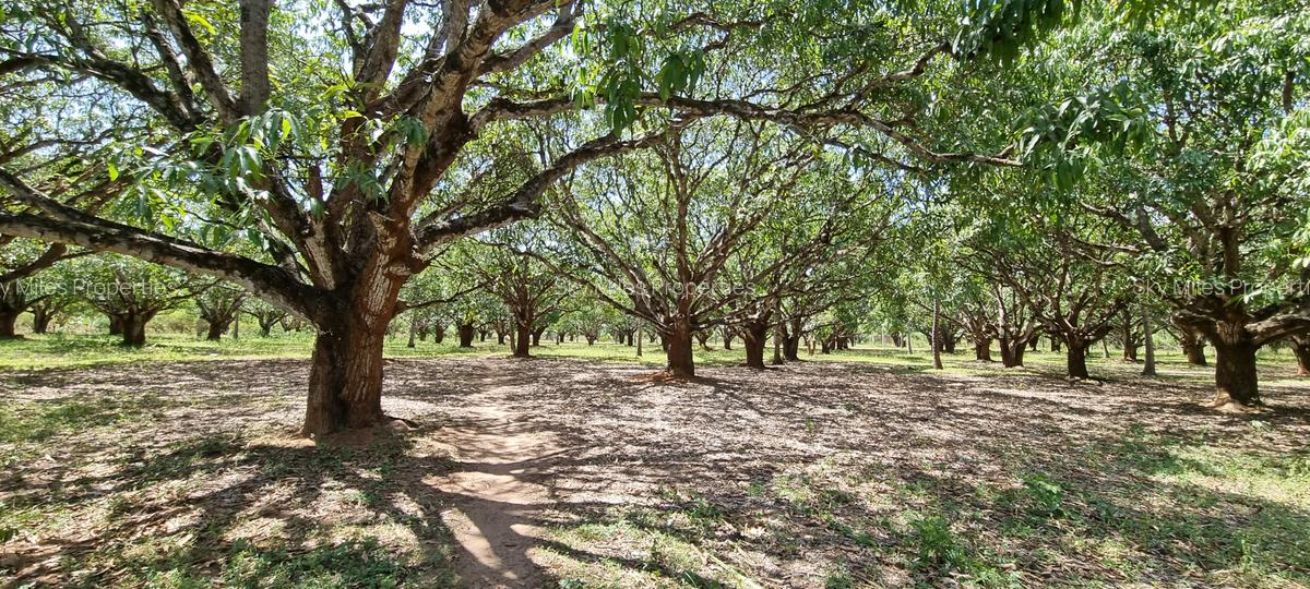 6 ac Land at Mtwapa - 17