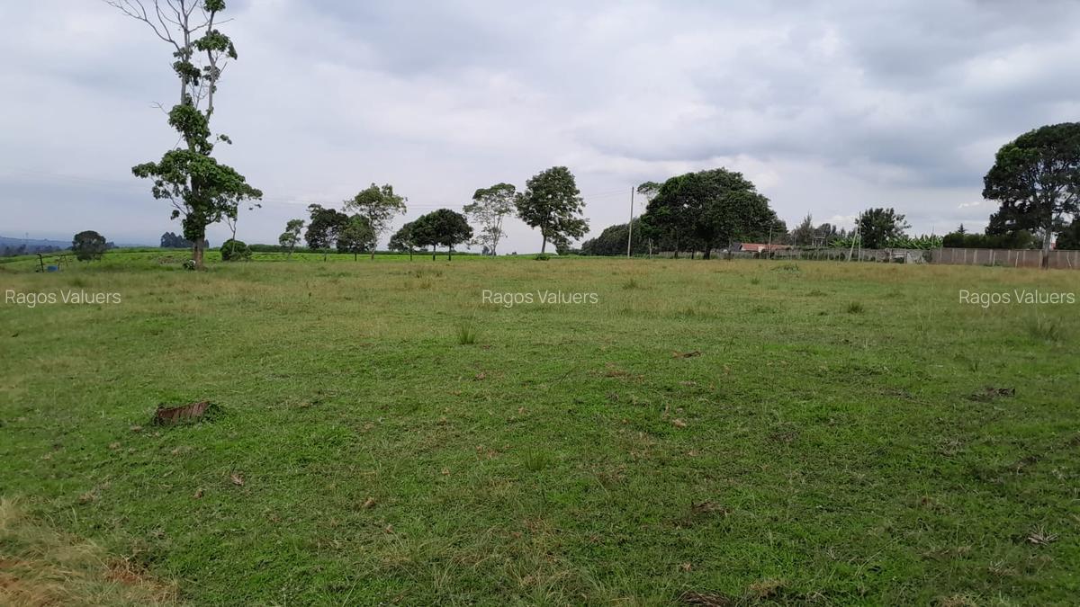 21 ac Land in Tigoni - 5