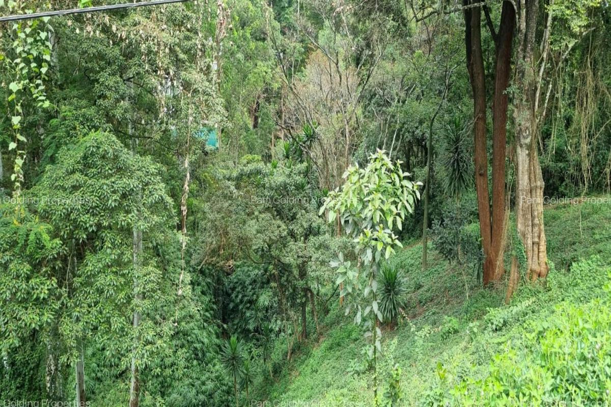 0.5 m² Land at Kitisuru Road - 4