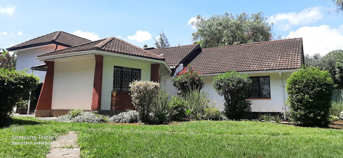 Commercial Property with Parking in Lavington - 1