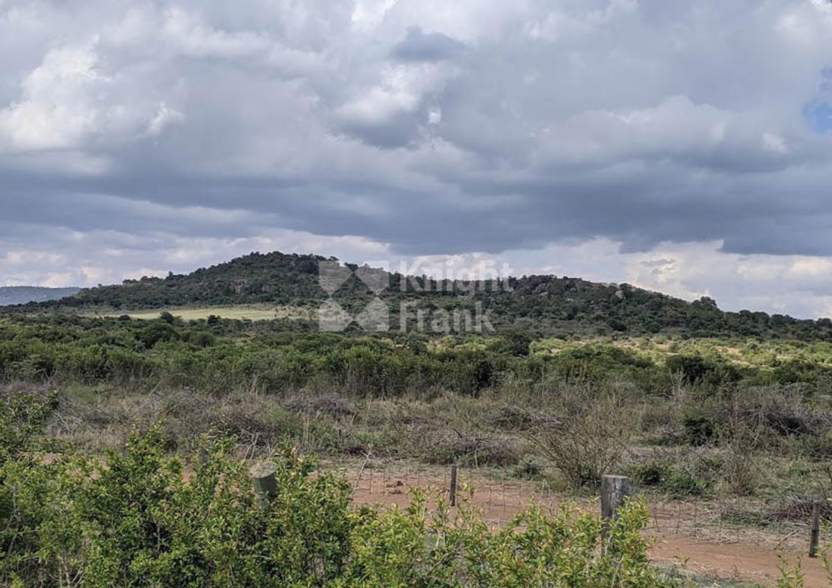 9.7 ac Land in Nanyuki - 4