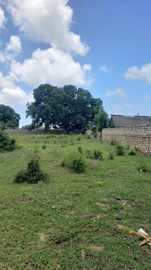 5 ac Land at Mavueni - 6