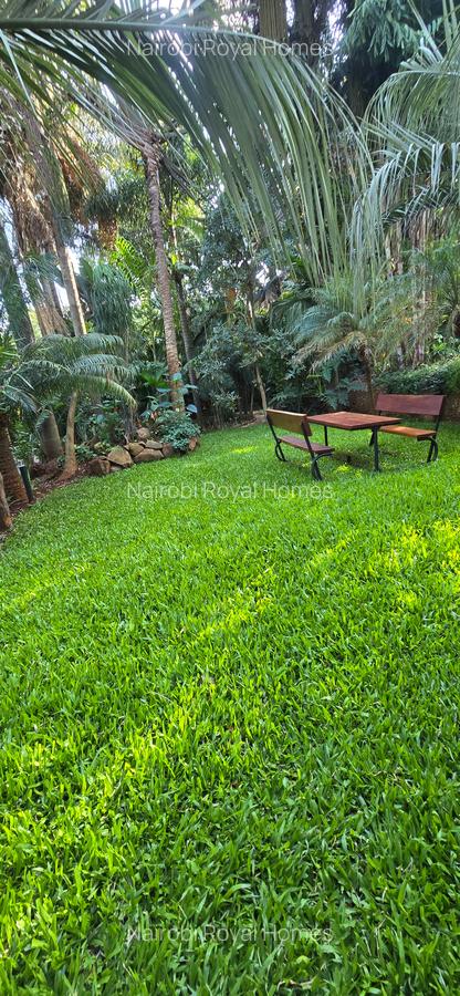 Furnished 3 Bed Apartment with En Suite at Nyari Redhil Road - 6