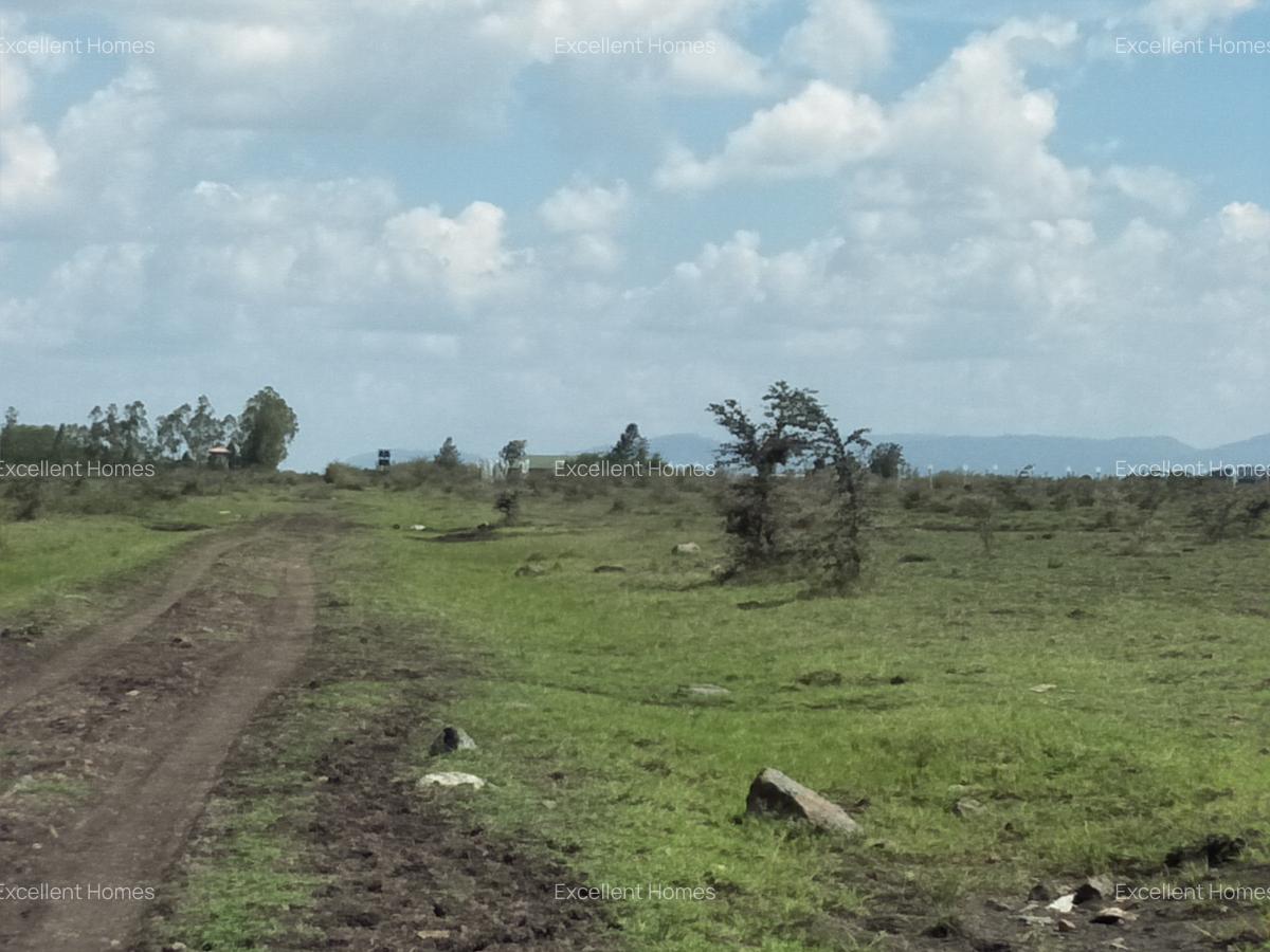 474 ac Land at Kamakis Mwalimu Farm - 4