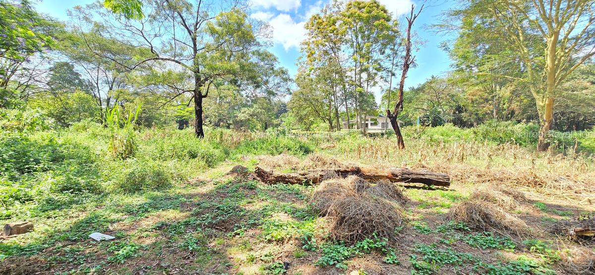 Residential Land at Shanzu Road - 3