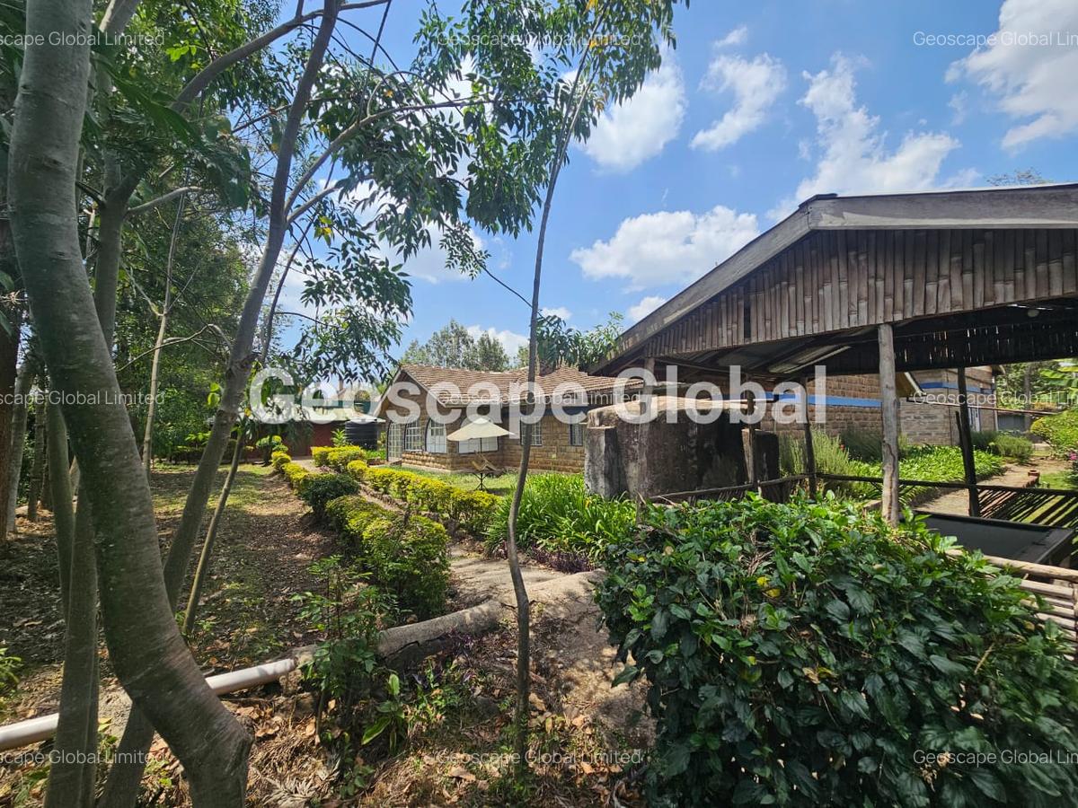 Commercial Property with Backup Generator in Karen - 4