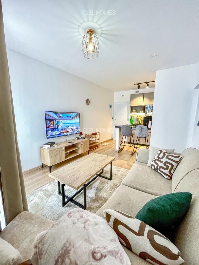 Furnished 1 Bed Apartment with En Suite in Tatu City - 3