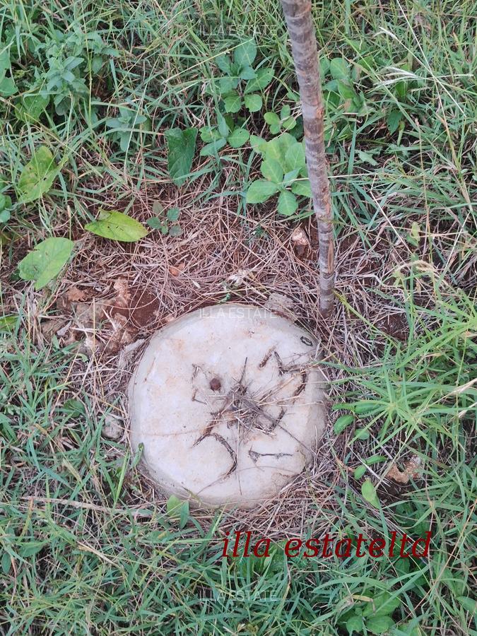 0.25 ac Residential Land at Diani Beach Road - 2