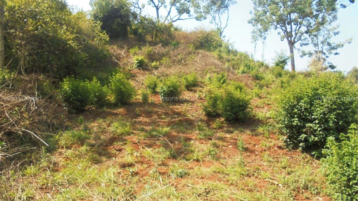 6.3 ac Land in Nyeri - 3