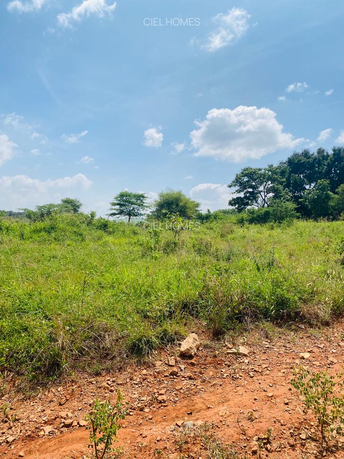 19 ac Land at Kenol-Makutano Highway - 11